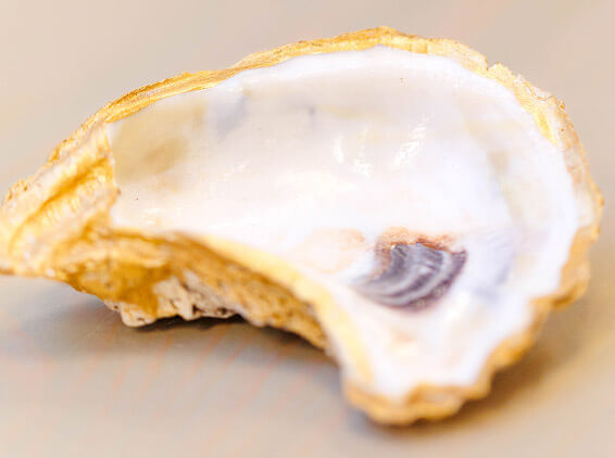 Oyster with a creamy filling