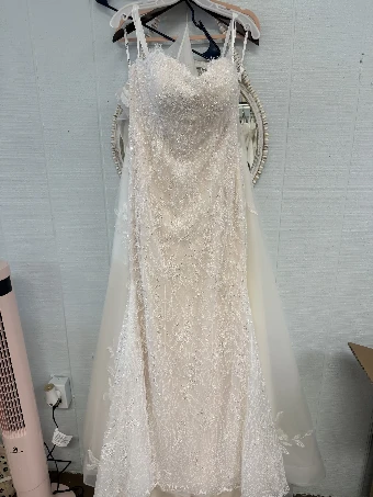 Bijela Bridal Collection Valeria #4 Ivory/Dark Champagne thumbnail